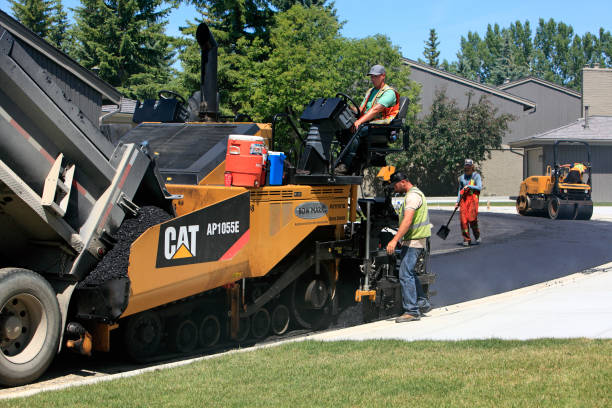 Best Local Driveway Pavers  in Osceola, AR
